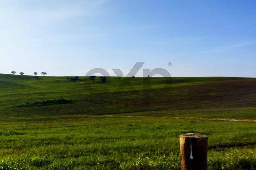 Fantástica Herdade no Baixo Alentejo