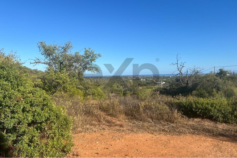 Terreno rustico de 11.200 sqm em Moncarapacho, Algarve