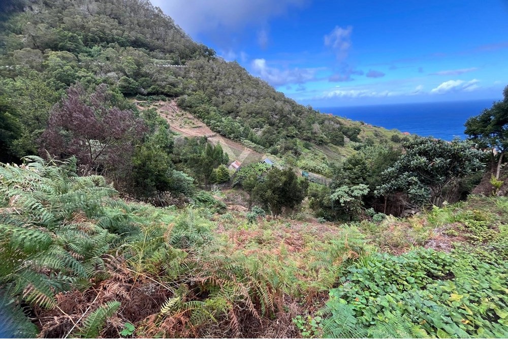 Terreno de 2090m2 no Faial: Oportunidade para Glamping ou Agroturismo com Vista Mar