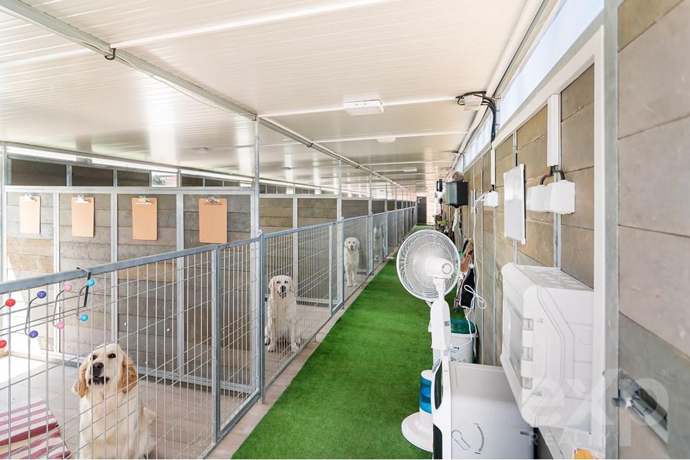 Hotel Canino com 10 Quartos 5.212m2 de Terreno, Créche e Brecário