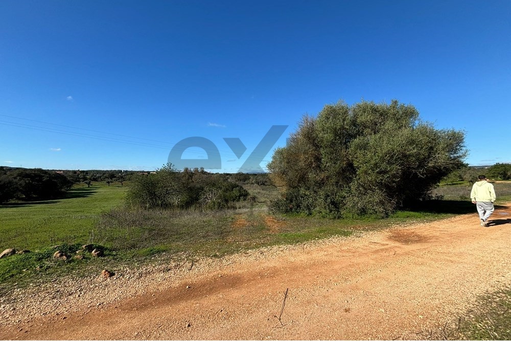 Terreno à Venda em Paderne, Portugal – Excelente Oportunidade!